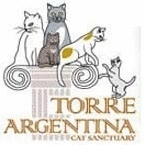 Colonia Felina di Torre Argentina Roma