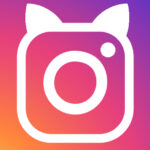 Instagram Gatti di Roma Torre Argentina